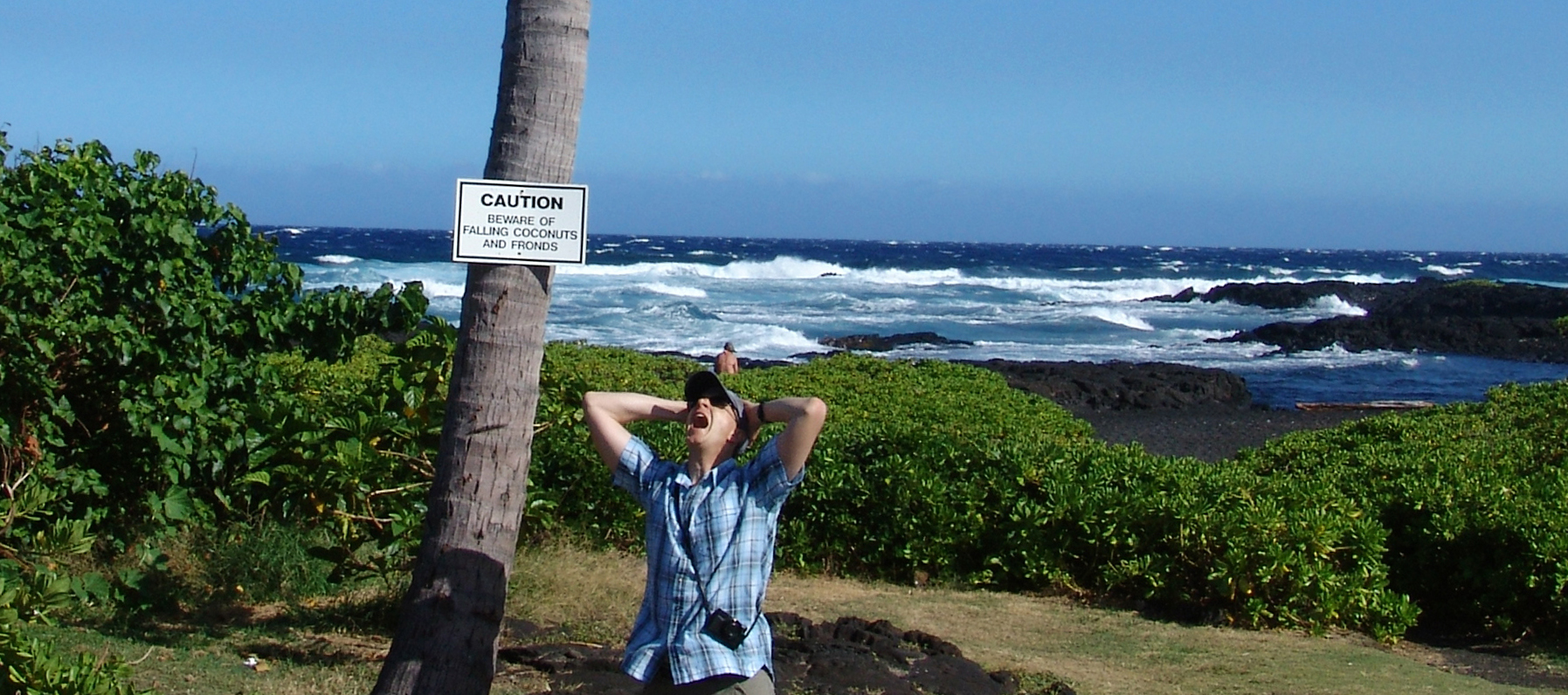 Zarkower Hawaii 2015